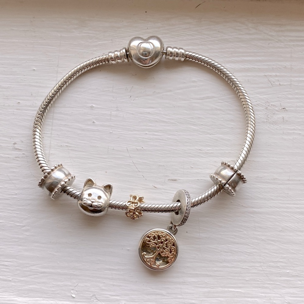 Pandora bracelet